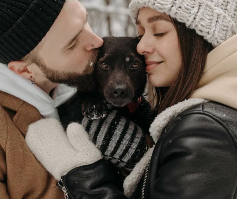 Une vie en harmonie avec son chien