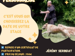 Stage de perfectionnement RCH 2.0 personnalisé