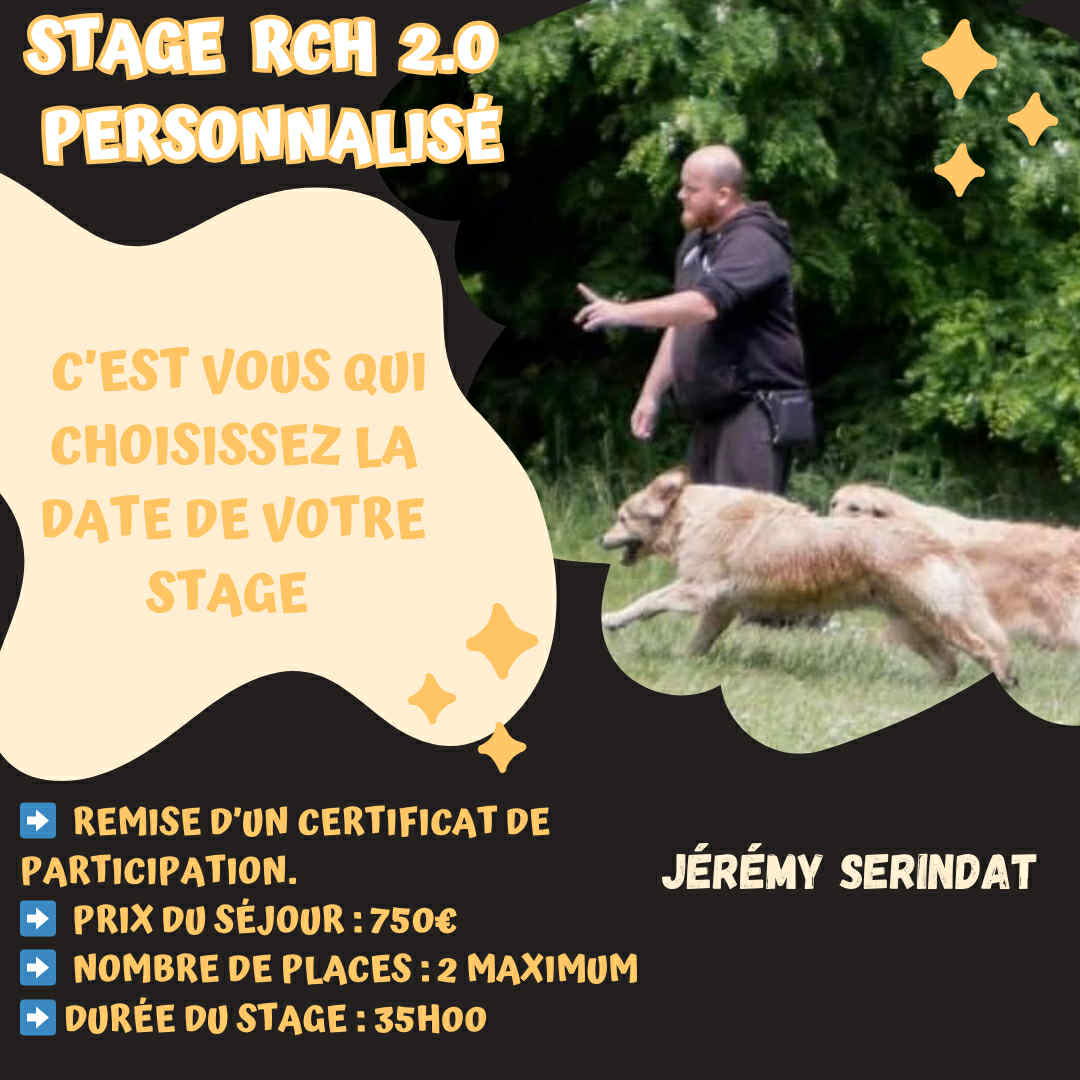 Stage de perfectionnement RCH 2.0 personnalisé