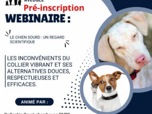 Pré-inscription webinaire "Le chien sourd : Un regard scientifique"