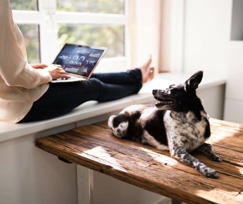 🧑‍💻 Coaching personnalisé formule «Prise en main»